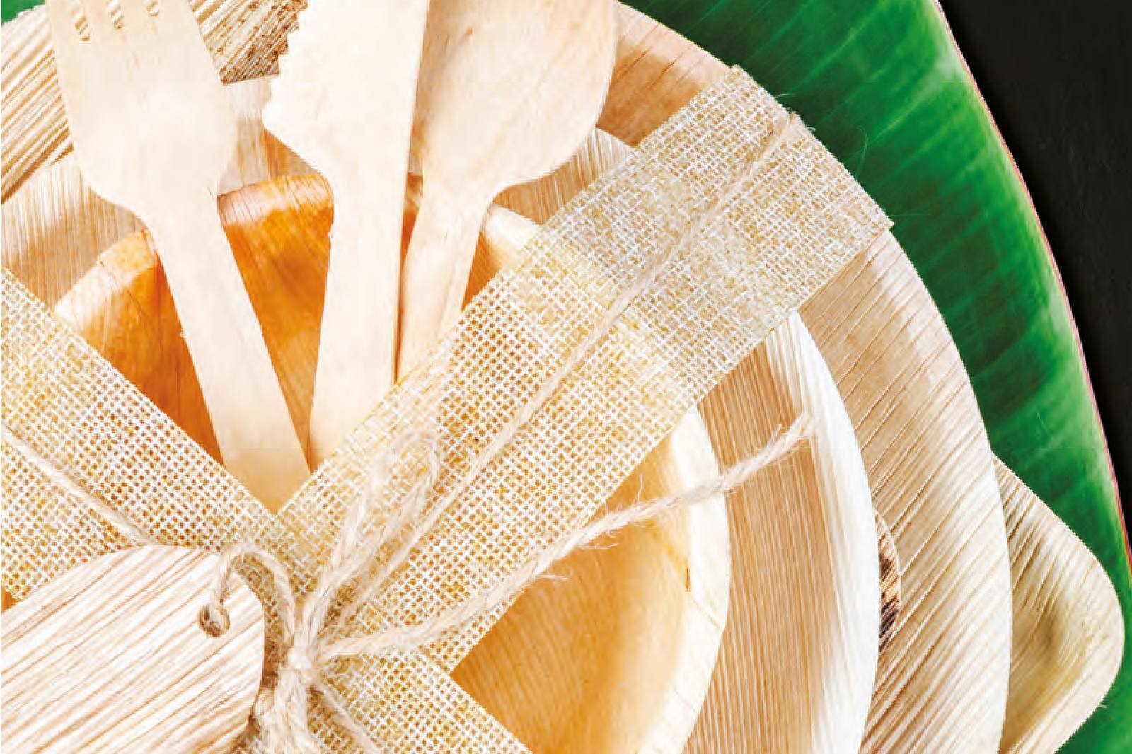 Areca Palm Leaf Products