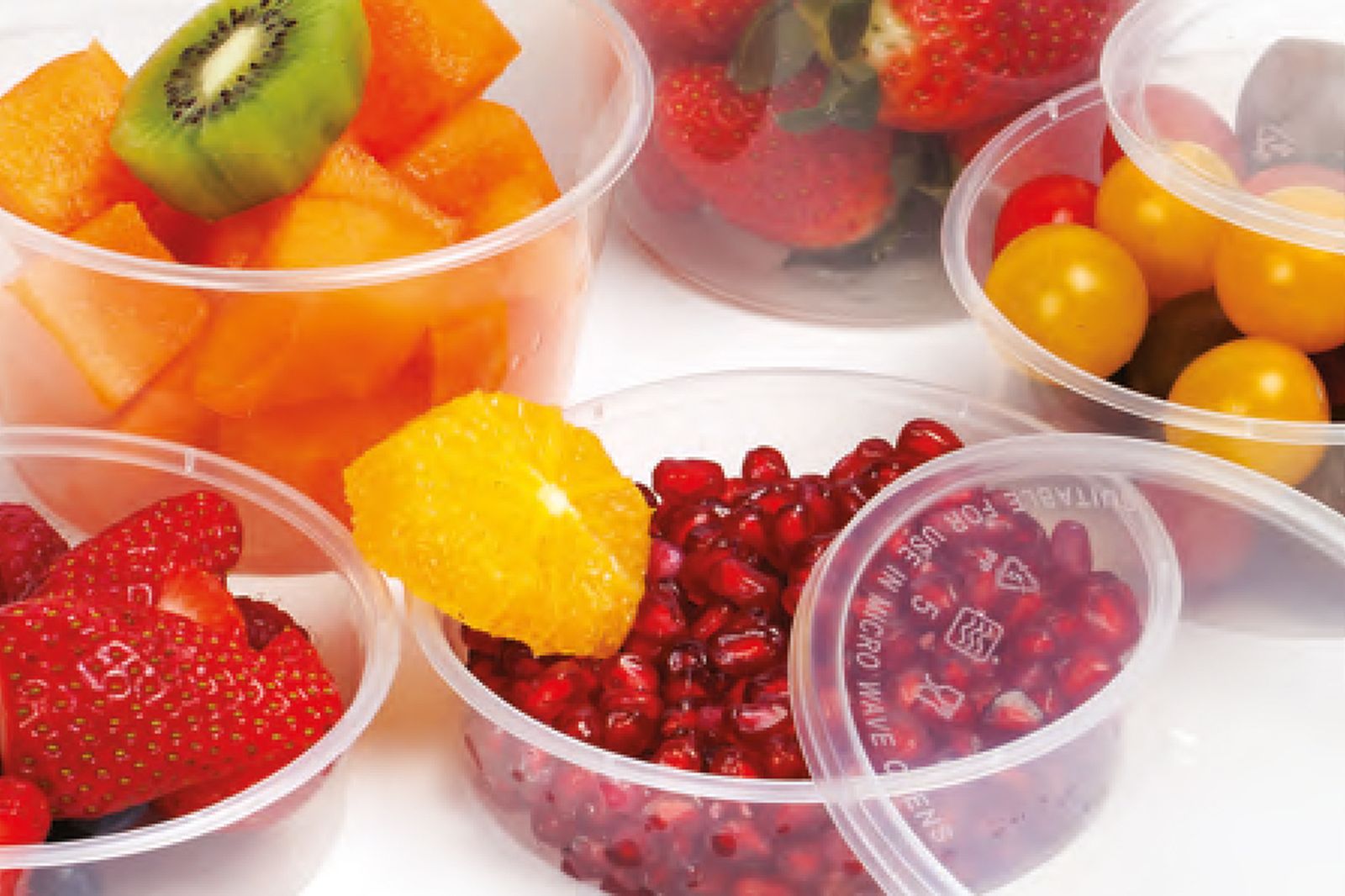 Multi-Section Meal Containers