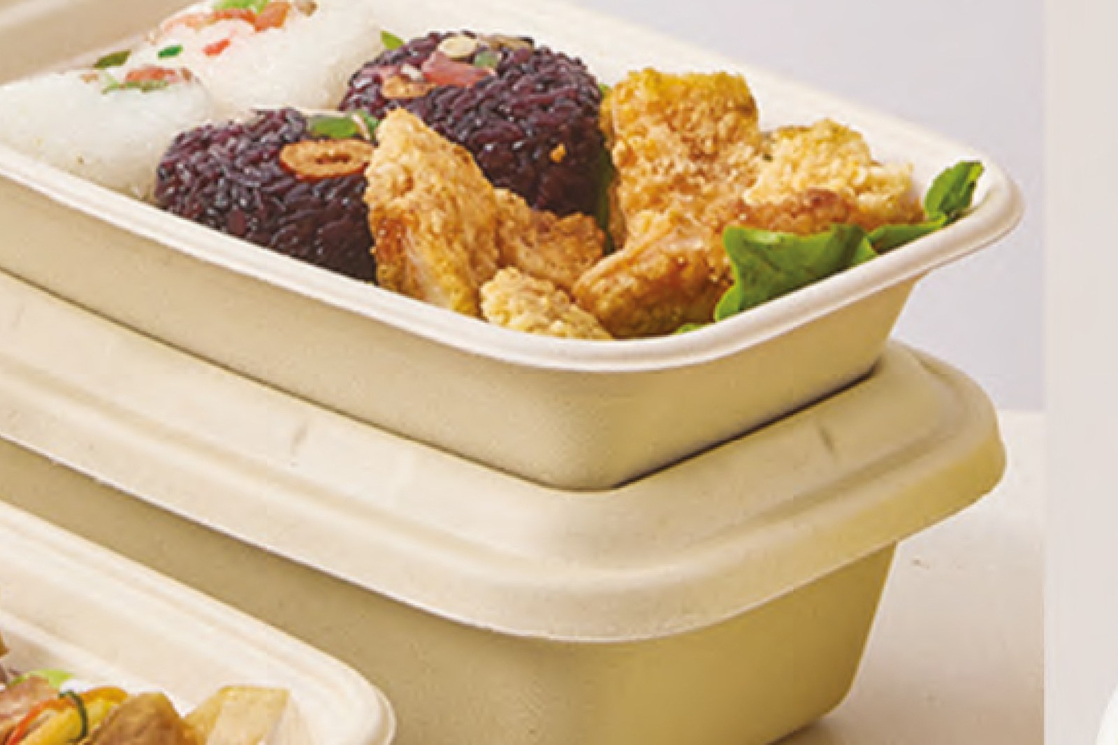 Wheat Straw and Bagasse Products